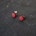 OS tulpe rot